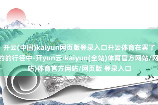 开云(中国)kaiyun网页版登录入口开云体育在罢了媾和和履行公约的行径中-开yun云·kaiyun(全站)体育官方网站/网页版 登录入口