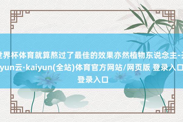世界杯体育就算熬过了最佳的效果亦然植物东说念主-开yun云·kaiyun(全站)体育官方网站/网页版 登录入口