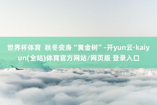 世界杯体育  秋冬变身“黄金树”-开yun云·kaiyun(全站)体育官方网站/网页版 登录入口